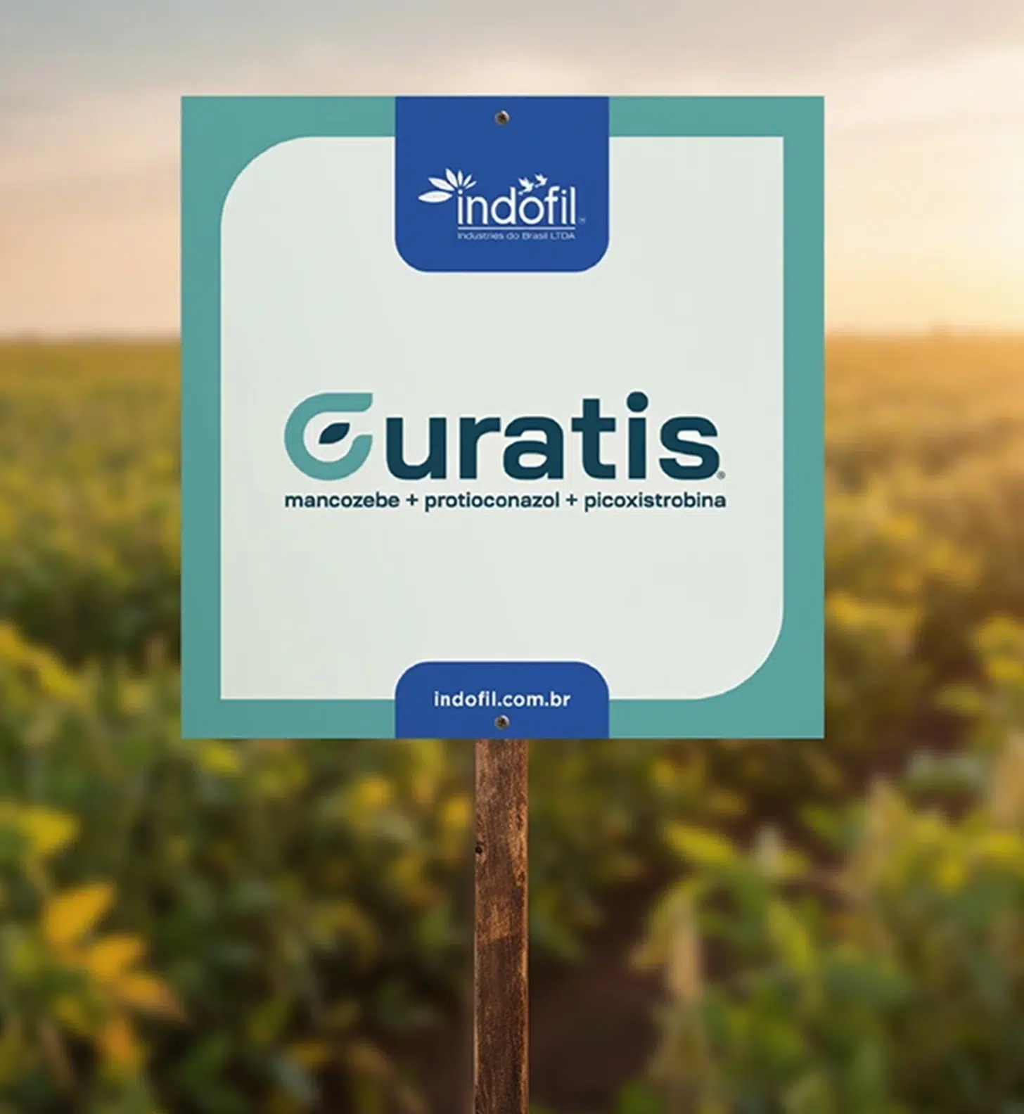 Placas de campo Projeto Sign